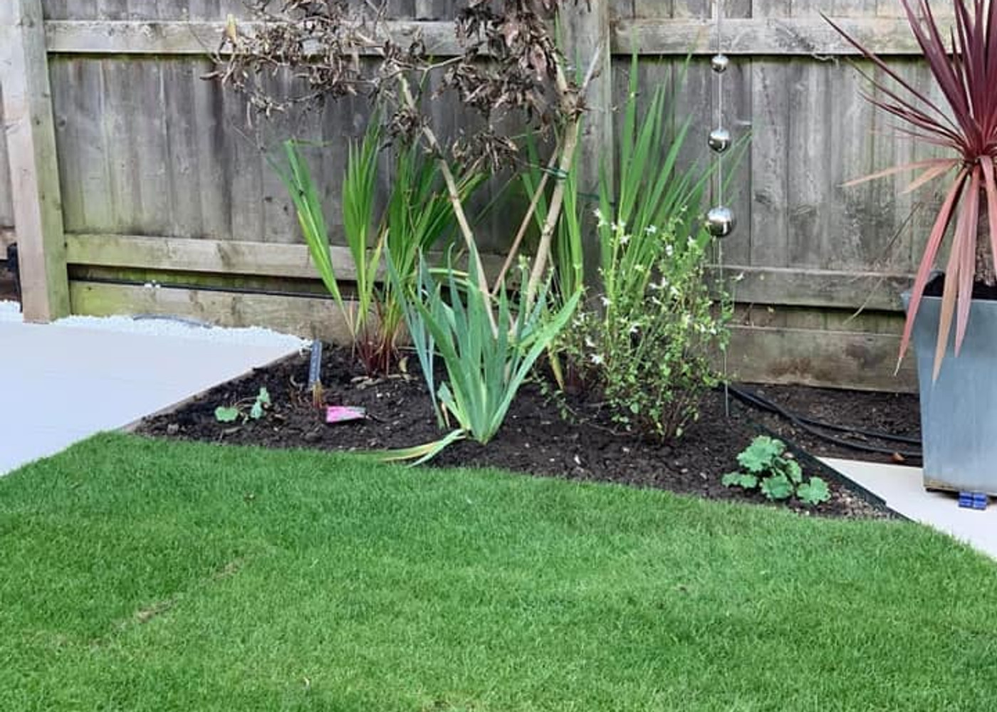 New turf and planted border laid alongside paving